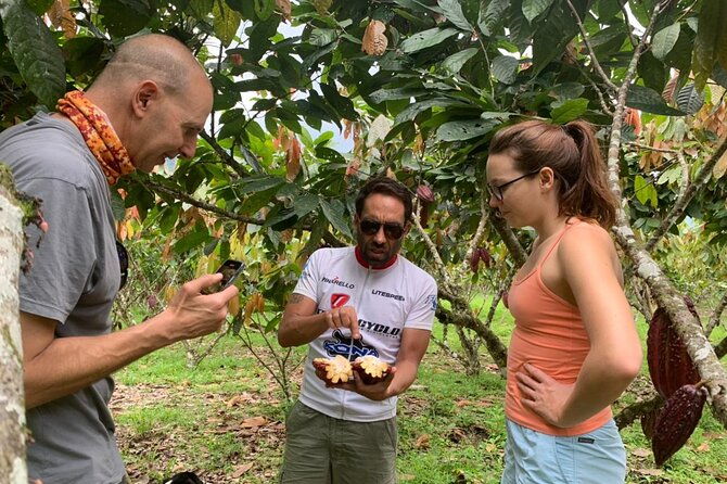 cacao-farm-chocolate-tasting-with-a-visit-to-jubones-desert
