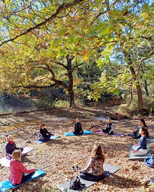 cagliari-forest-bathing-at-sette-fratelli-park