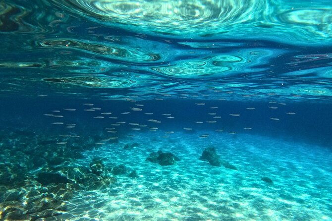 cala-gonone-snorkeling-in-the-orosei-gulf