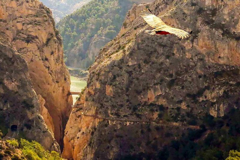 caminito-del-rey-entry-ticket
