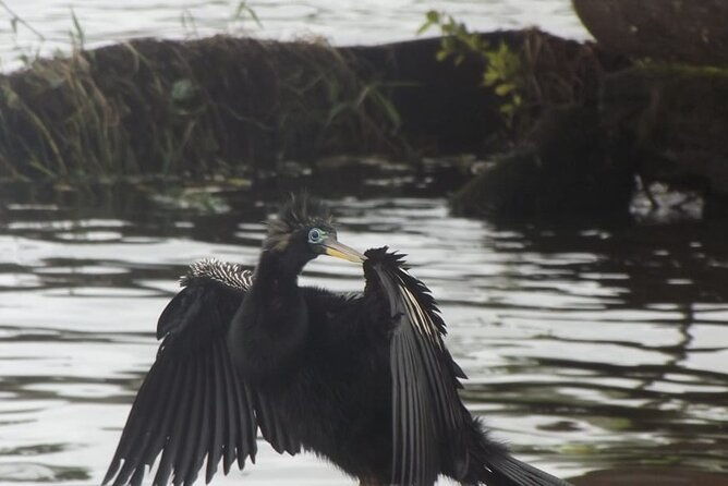 canoe-tour-along-the-water-trails-of-tortuguero-park