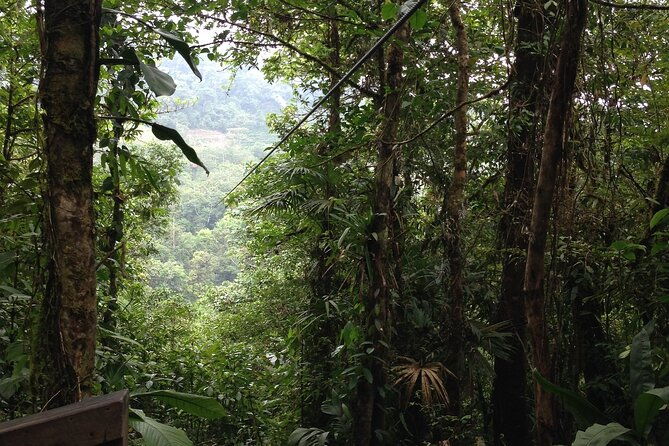 canopy-tour-in-the-fabulous-hanging-bridges-from-san-jose