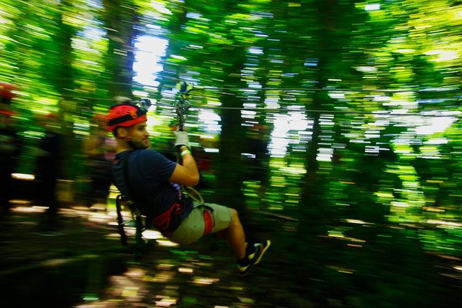 canopy-tour-plus-walk-in-monteverde-cloud-forest