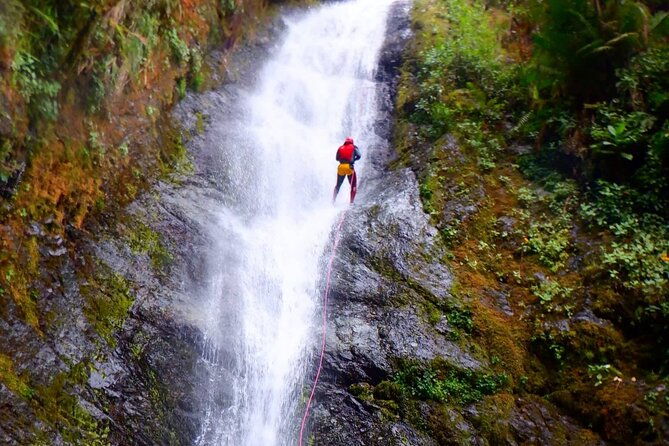 canyoning-cloud-forest-private-day-trip