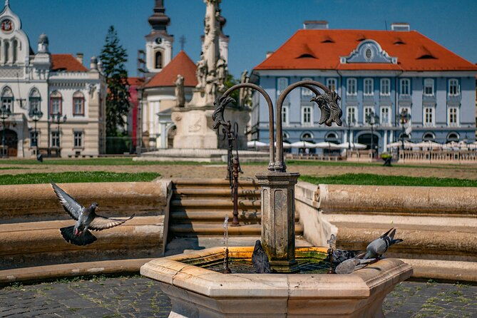 capture-the-most-photogenic-spots-of-timisoara-with-a-local