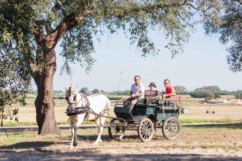 carriage-ride-on-the-beach-rosario-beach