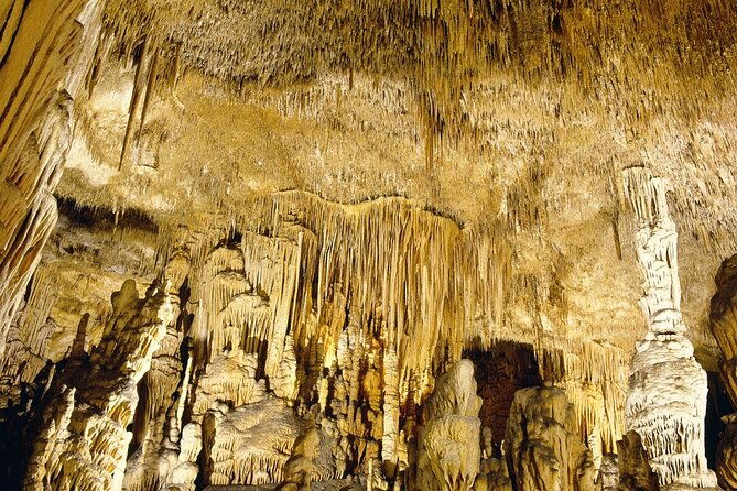 caves-drach-tour-return-transfer-from-cala-dor-calas-mallorca