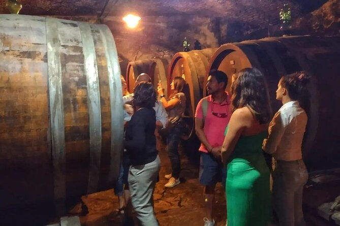 chianti-eno-excursion-through-the-vineyards