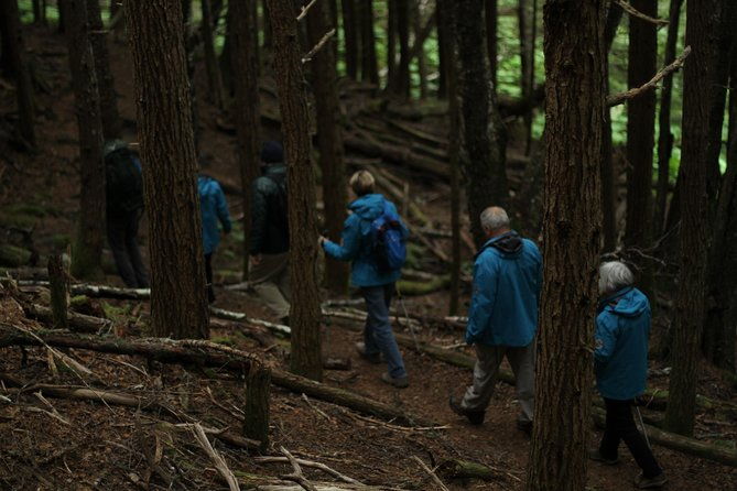 chilkat-inlet-coastal-hike-in-haines