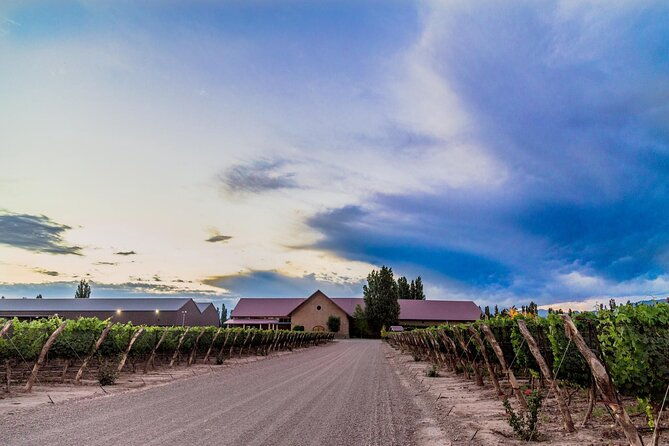 chimera-bistro-experience-michelinvisit-winerytransfer