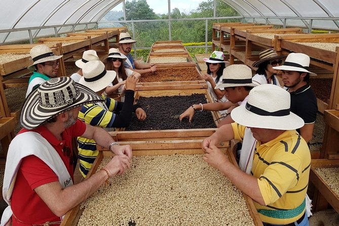 coffee-culture-and-hotsprings