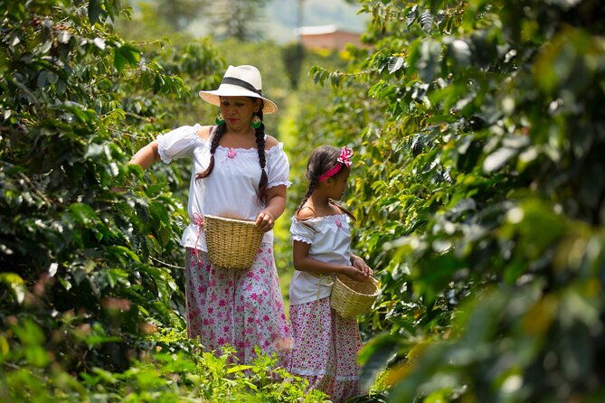 coffee-farm-and-salento-walking-tour-3