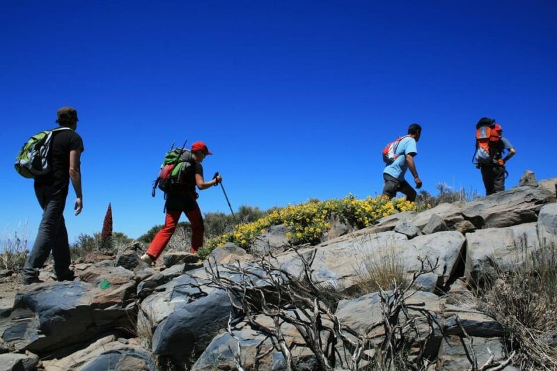 collective-adventure-travel-volunteer-in-tenerife