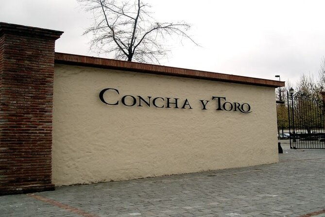 concha-y-toro-vineyard-tour