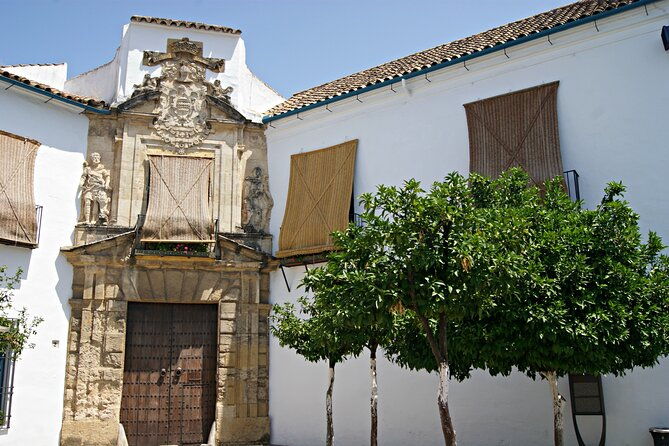 cordoba-and-its-mosque-from-malaga-with-private-transfer