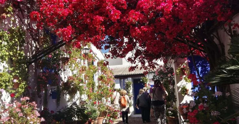 cordoba-courtyards-by-bike-electric-bike