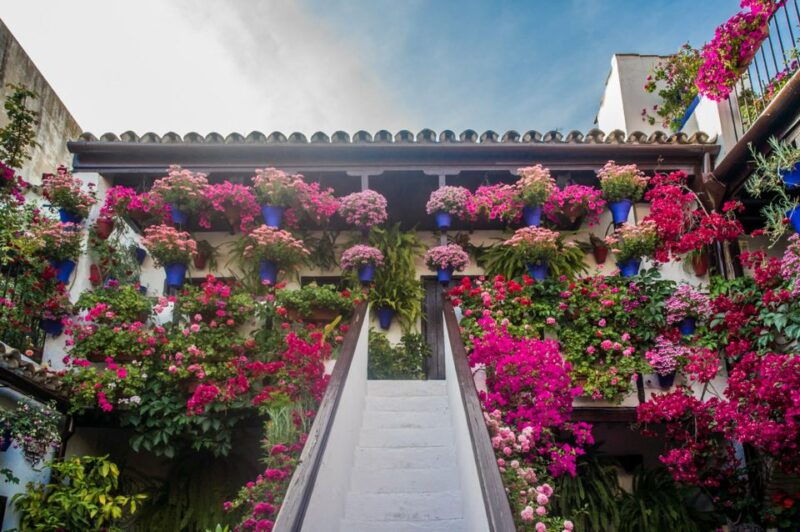 cordoba-guided-tour-of-the-patios