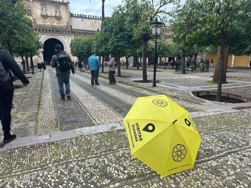 cordoba-guided-visit-to-the-cathedral-of-cordoba-mosque