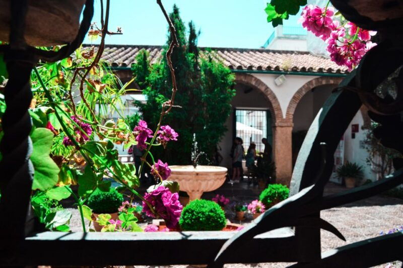 cordoba-patios-and-viana-palace-tour