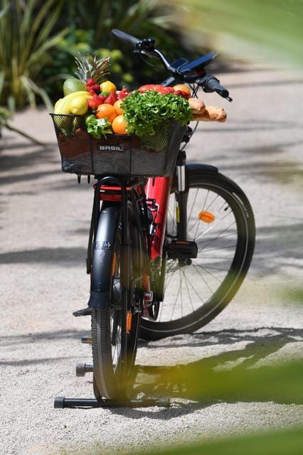 cote-dazur-e-bike-rental