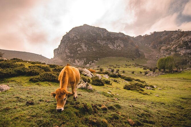 covadonga-lakes-sanctuary-and-cangas-de-onis-from-santander