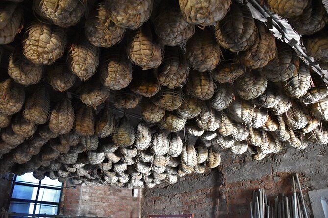 culatello-and-more-private-full-day-food-tour-in-parma