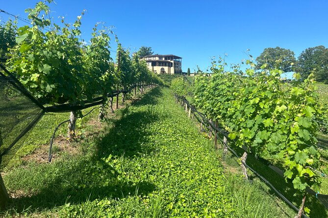 dahlonega-wine-dine-private-tour-from-atlanta