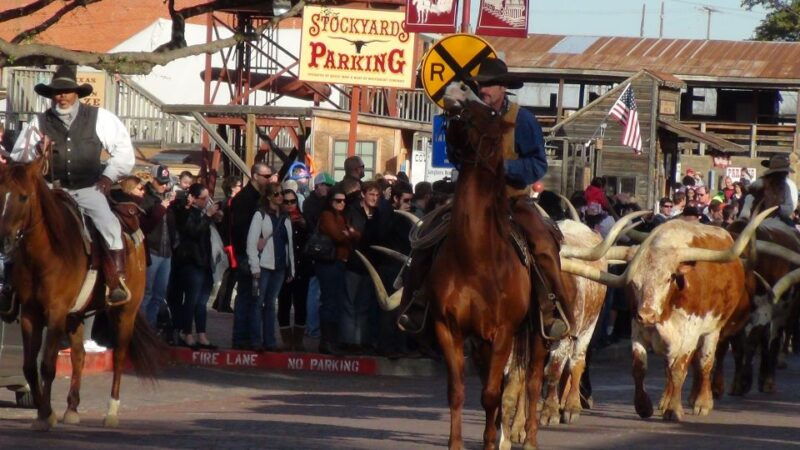 dallas-city-fort-worth-combination-tour