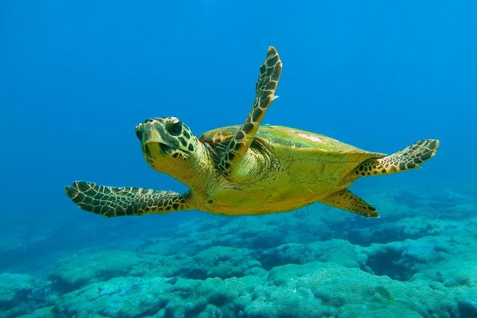 dalyan-bus-trip-to-caunos-turtle-beach-and-sultaniye-mud-bath-from-marmaris
