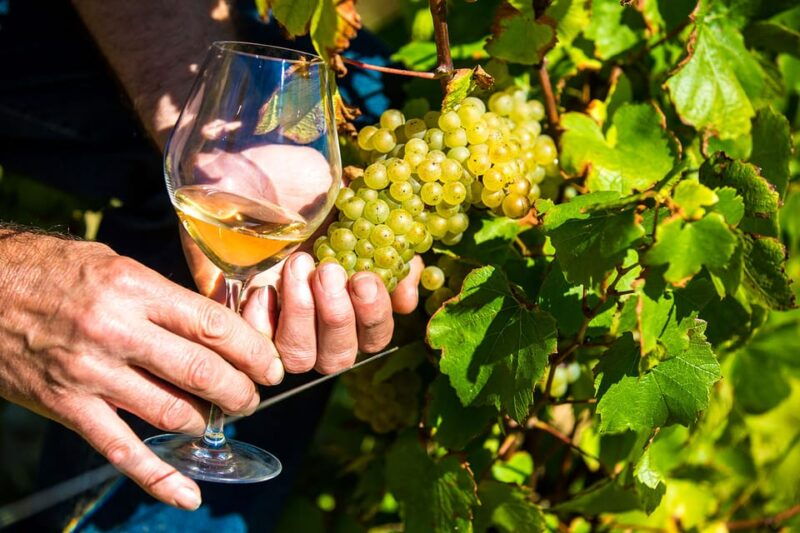 day-tour-perfumery-and-wine