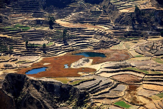 day-tour-to-colca-canyon-from-arequipa