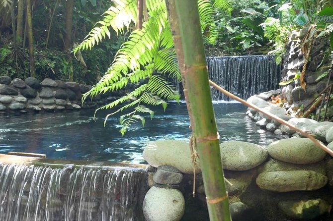 day-trip-from-san-jose-to-arenal-hanging-bridges-tabacon-hot-springs