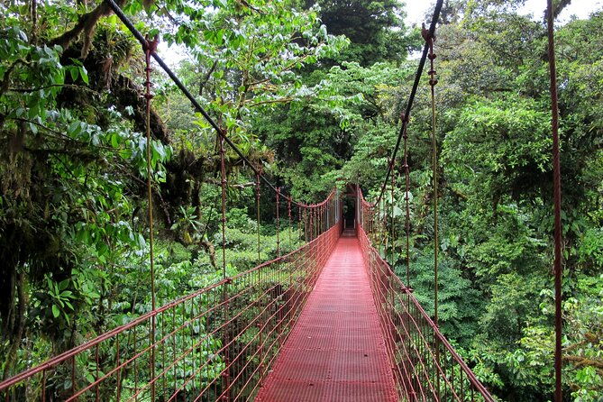 day-trip-from-san-jose-to-monteverde-cloud-forest-sky-adventure-park