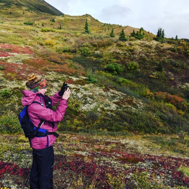 denali-5-hour-guided-wilderness-hiking-tour