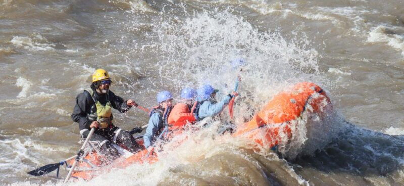 denali-alaska-canyon-wave-raft-class-iii-iv-paddle-oar