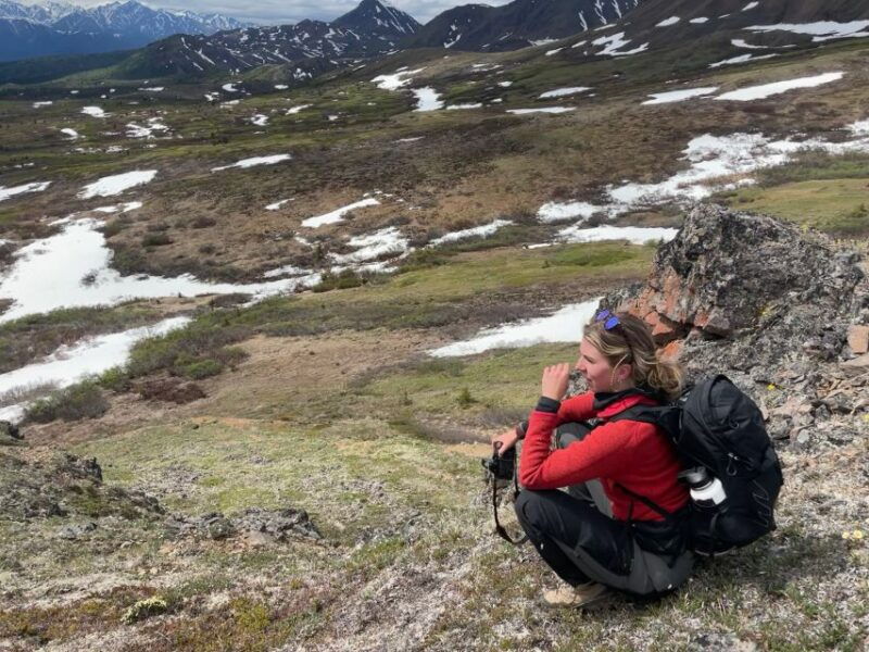 denali-denali-national-park-walking-tour