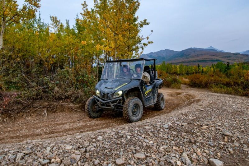 denali-national-park-wilderness-atv-adventure