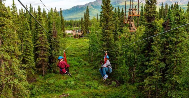 denali-park-zipline-adventure-2