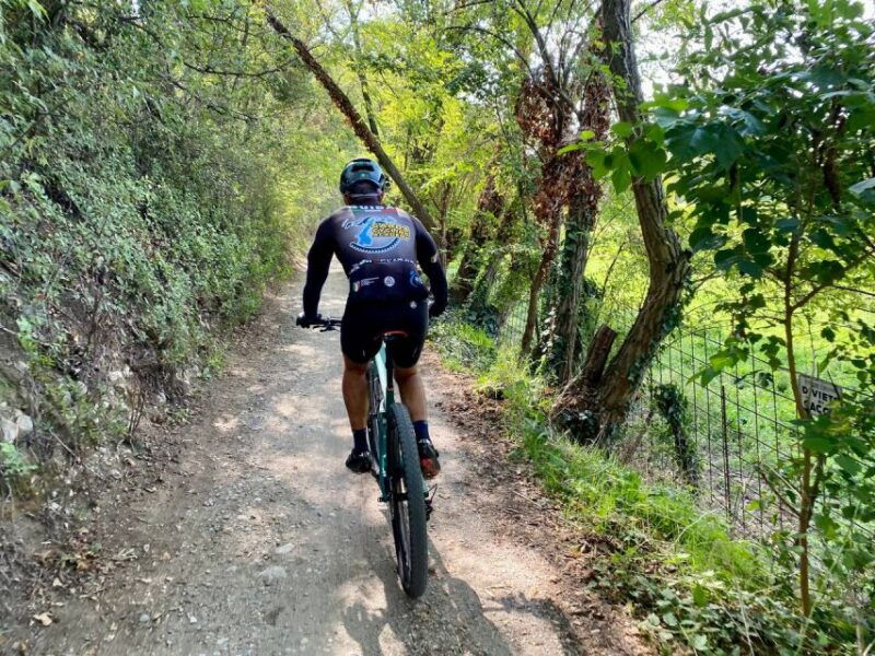 desenzano-e-bike-tour-with-wine-tasting