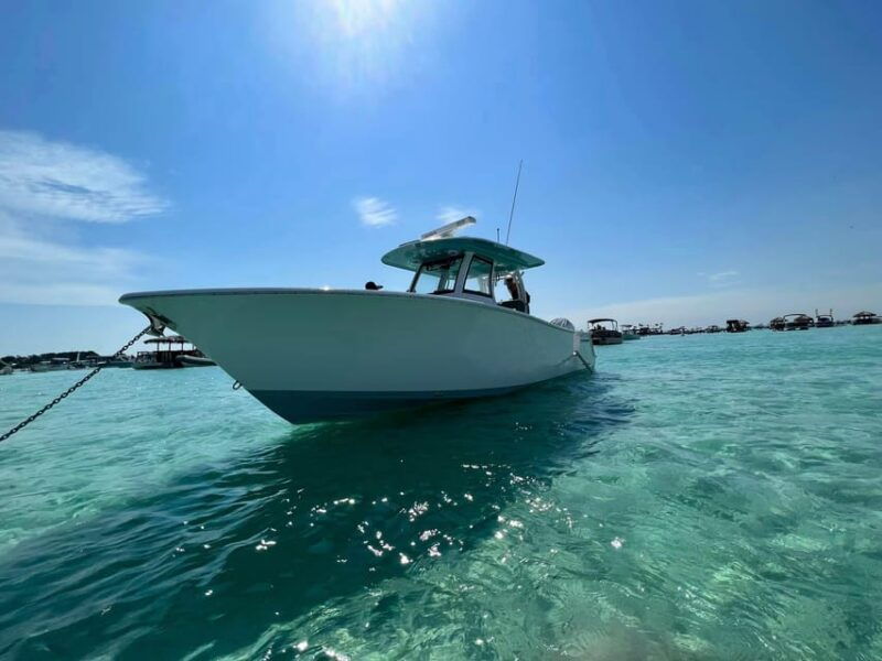 destin-fish-and-fun-destin