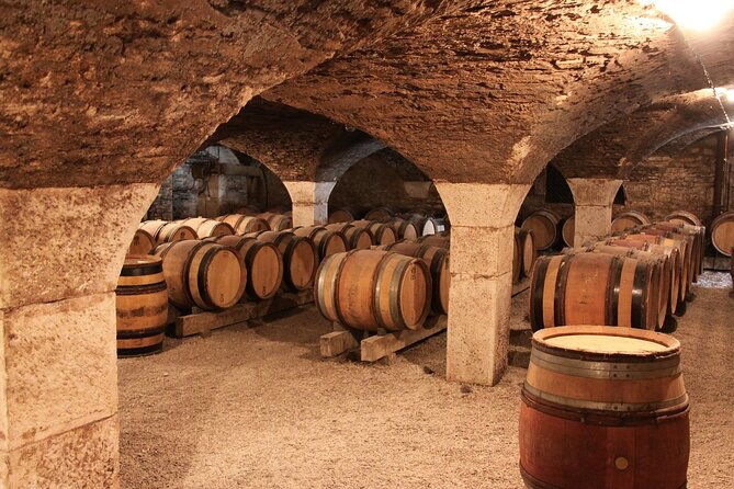 dijon-guided-tour-with-wine-tasting-included