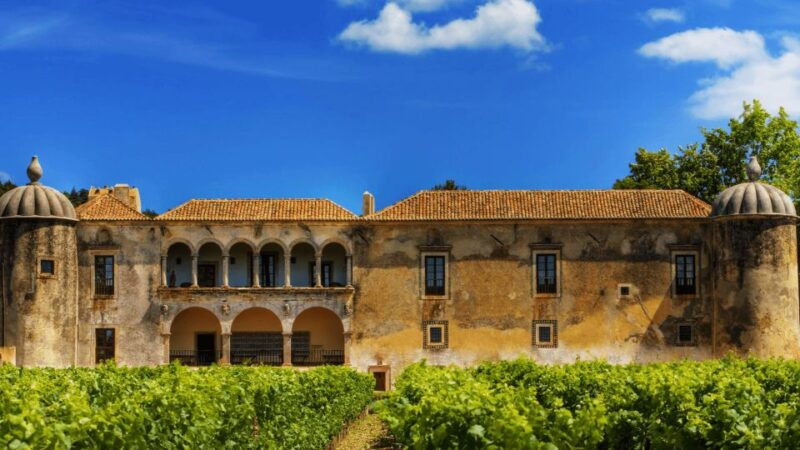 discover-arrabida-wine-and-scenic-wonders