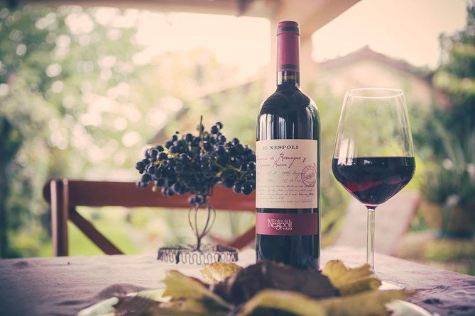 discover-the-wine-producers-of-emilia-romagna