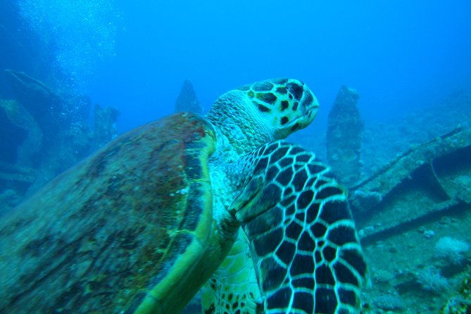 diving-baptism