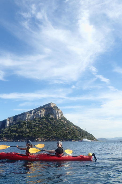 dolphin-kayak-safari-at-sunset-at-golfo-aranci