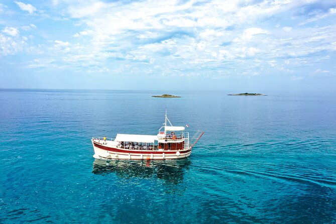 dolphin-watching-around-porec-riviera-with-boat-trip