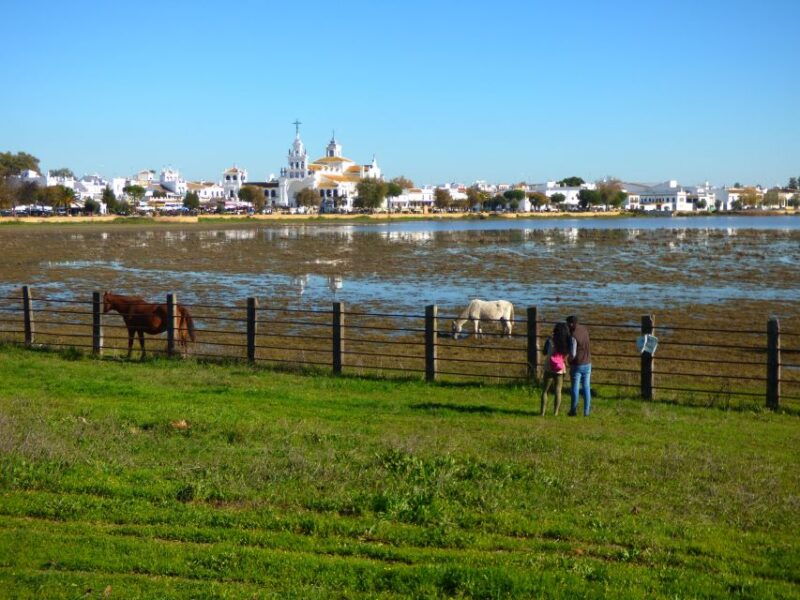 donana-national-park-off-road-tour-from-seville