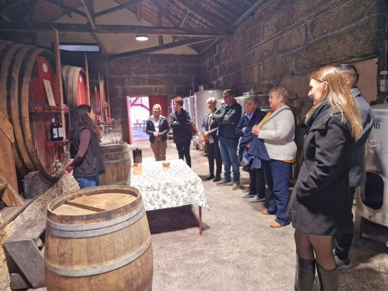 douro-valley-premium-wine-tour-cruise-lunch-from-porto