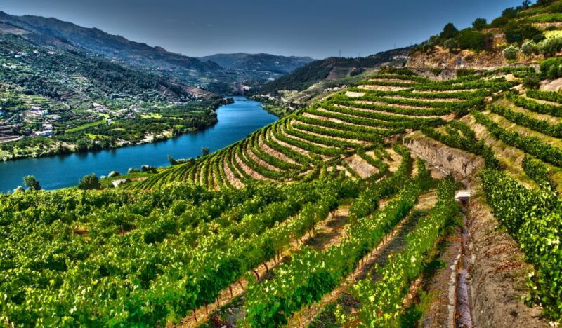 douro-valley-private-tour-with-2-wine-tastings