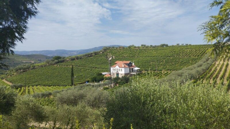 douro-vinho-verde-private-tour